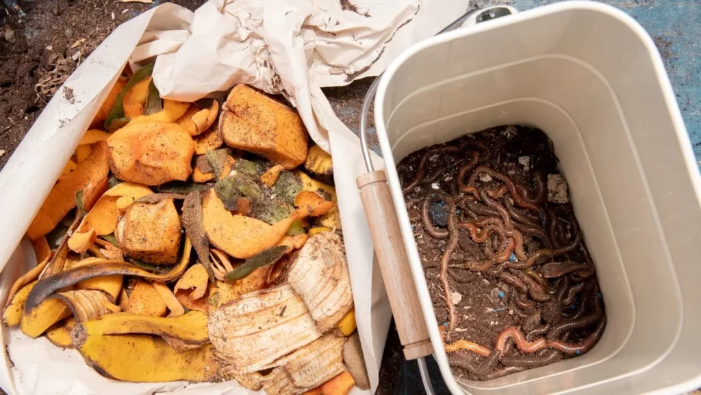 Kompos 02 - Cara Membuat Pupuk Kompos dari Sampah Rumah Tangga