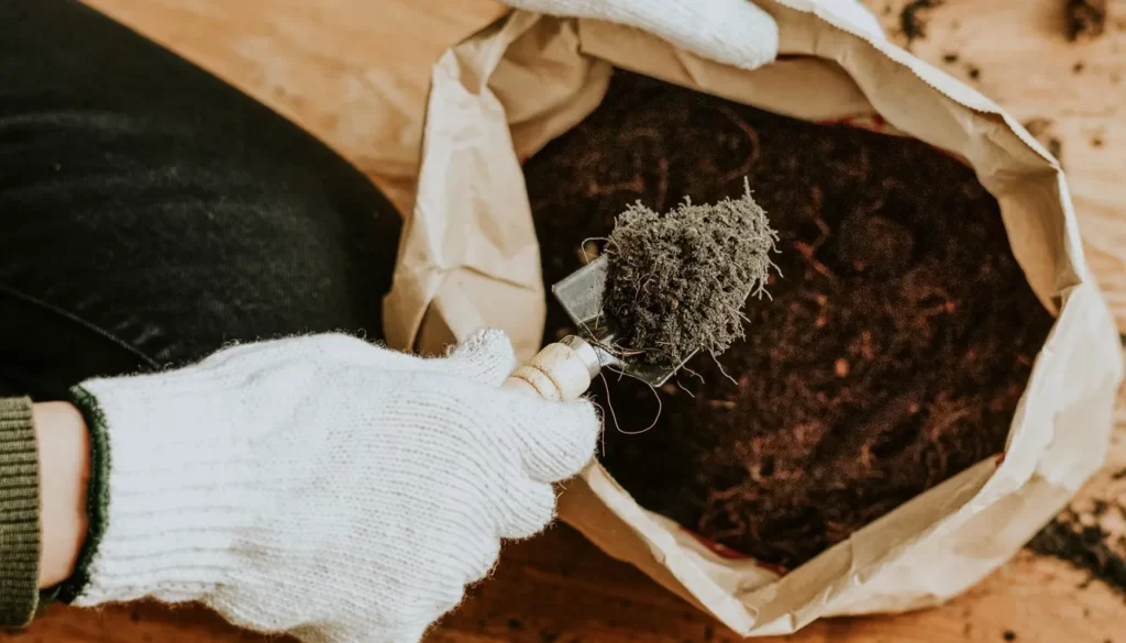 Kompos 07 - Cara Membuat Pupuk Kompos dari Sampah Rumah Tangga